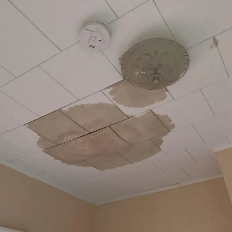 Ceiling Water Damage Repair in Garner, NC