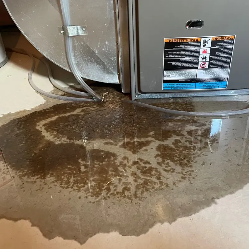 Pipe Burst and Leak Restoration in Garner, NC