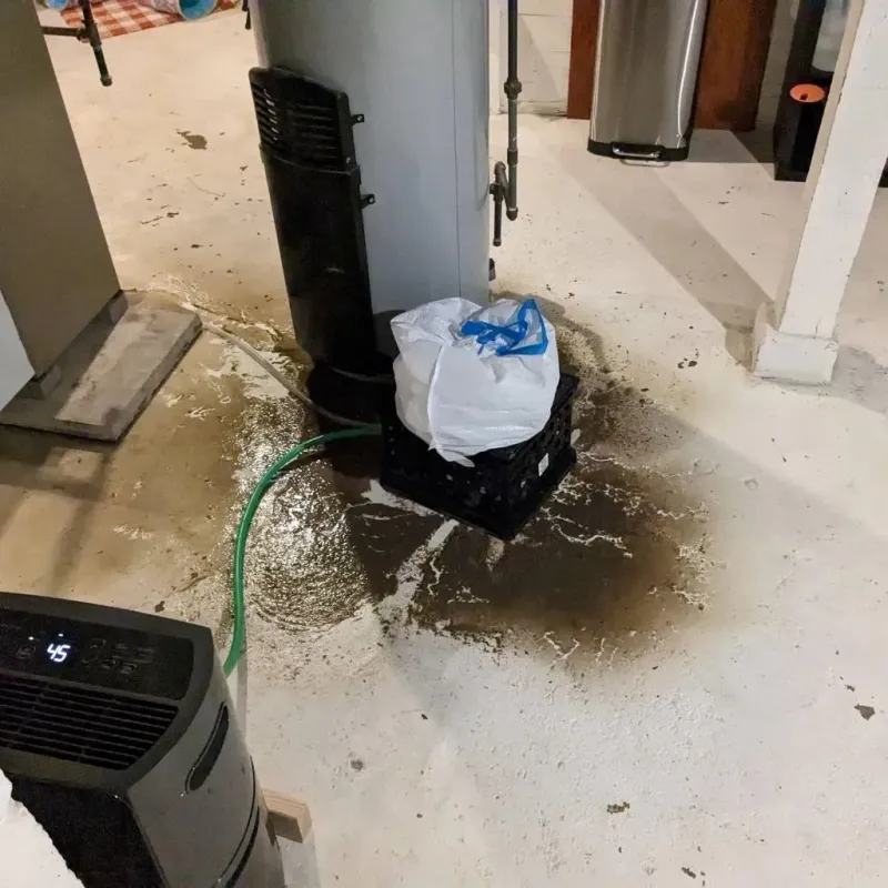Sewage Backup Cleanup Service in Garner, NC